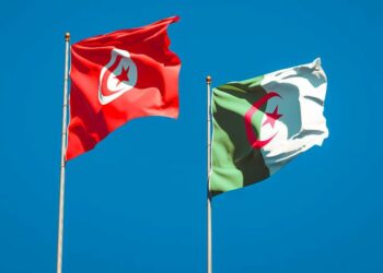 Formation professionnelle: Tunis et Alger intensifient la coopération et le partage d’expertises