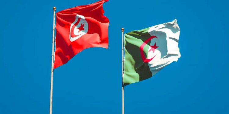 Formation professionnelle: Tunis et Alger intensifient la coopération et le partage d’expertises