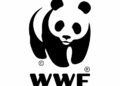 Biodiversité: Le WWF recherche des jeunes Tunisiens pour son Académie des talents 2026