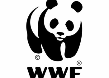 Biodiversité: Le WWF recherche des jeunes Tunisiens pour son Académie des talents 2026