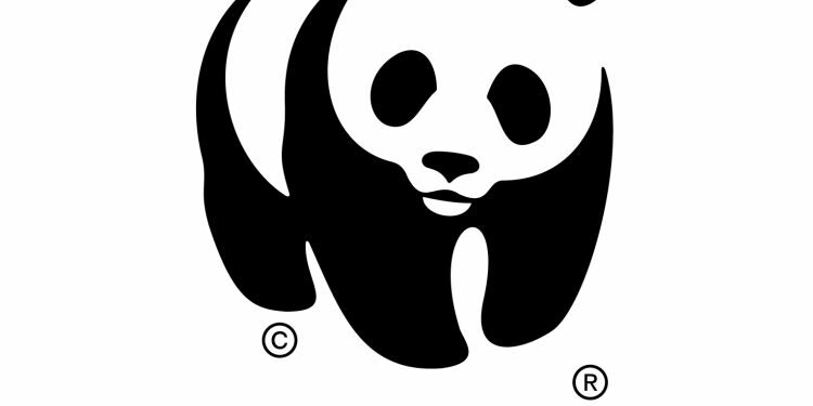 Biodiversité: Le WWF recherche des jeunes Tunisiens pour son Académie des talents 2026