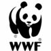 Biodiversité: Le WWF recherche des jeunes Tunisiens pour son Académie des talents 2026