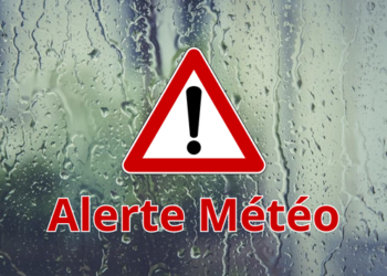 Urgent avis