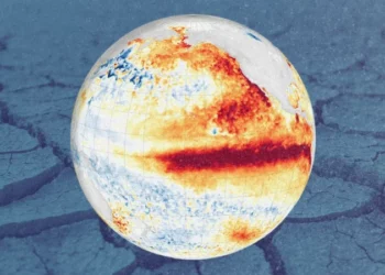 Jusqu’à 451 000 décès supplémentaires liés au phénomène « El Niño » dans le monde d’ici février 2027