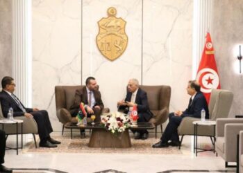 Coopération avec l’Algérie, la Mauritanie et la Libye dans la santé numérique﻿