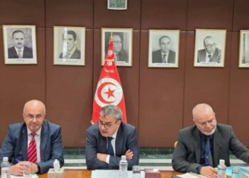 Gouverneur BCT : passer d&rsquo;une logique de résilience à une logique de création de richesse﻿
