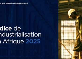 Indice de l’industrialisation en Afrique 2025 la Tunisie au 4e rang