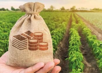 Investissements agricoles en Tunisie 291,8 millions de dinars approuvés