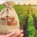 Investissements agricoles en Tunisie 291,8 millions de dinars approuvés