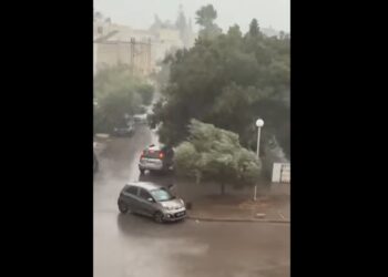 Des pluies intenses sur le Grand Tunis et le nord du pays