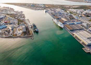 Journée mondiale de la mer : l’OMMP accélère la modernisation des ports