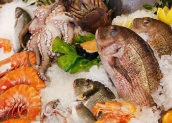 Produits de pêche : La balance commerciale excédentaire de 66,7 MD à fin juin 2026﻿