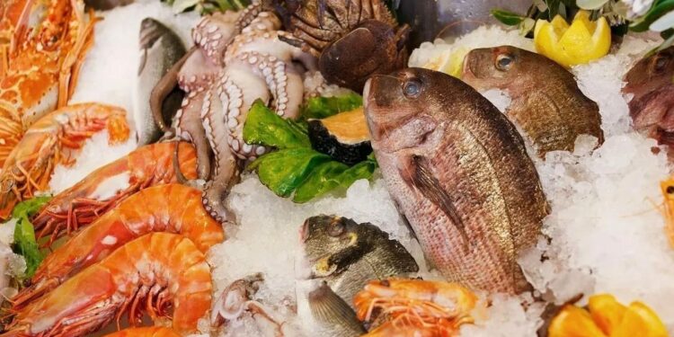 Produits de pêche : La balance commerciale excédentaire de 66,7 MD à fin juin 2026﻿