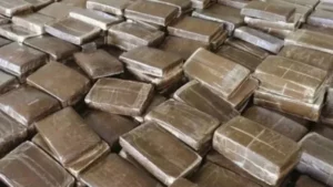 Cocaïne : trois barons interpellés, 2,5 kg de drogue, deux voitures de luxe et un yacht saisis