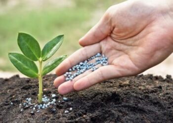 Sécurité alimentaire : Les banques de développement unies pour l’approvisionnement du monde en engrais