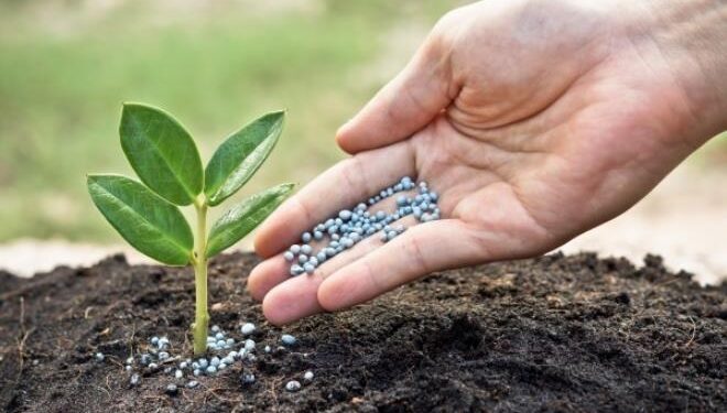 Sécurité alimentaire : Les banques de développement unies pour l’approvisionnement du monde en engrais