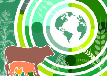 Les prix alimentaires mondiaux au plus haut depuis fin 2022