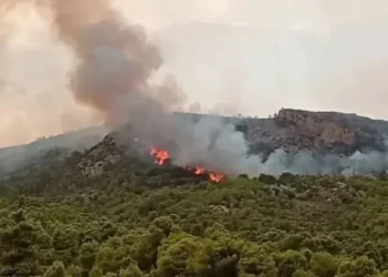 Incendie Jebel Bargou : deux suspects placés en détention