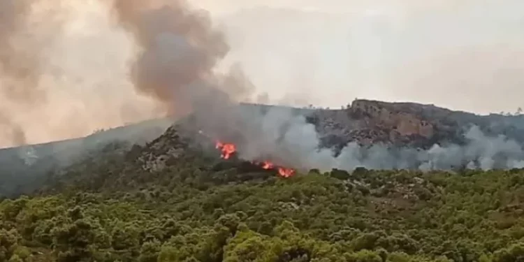 Incendie Jebel Bargou : deux suspects placés en détention