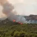 Incendie Jebel Bargou : deux suspects placés en détention
