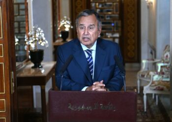 Le nouveau SG de la Ligue arabe à propos de sa visite en Tunisie : « Logique et naturelle »
