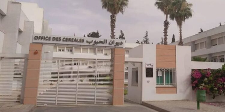 L’Office des céréales table sur une production entre 17 et 18 millions de quintaux pour l’actuelle campagne
