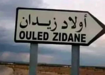 Sidi Bouzid: un projet de 2 millions DT pour irriguer 50 ha à Ouled Zidane