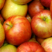 Kasserine : la production de pommes en hausse à 75.000 tonnes cette saison﻿