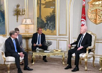 Visite du ministre allemand des AE : Berlin veut moins de migrants, Tunis veut plus de partenariat