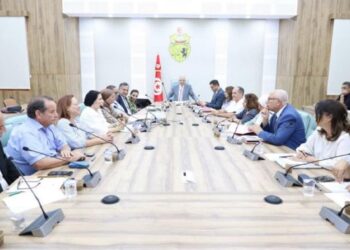 Santé : Deux unités d’AMP à Monastir et Sfax en 2026-2027