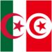Tunisie/Algérie : Progression de 166% du volume des échanges commerciaux au cours des cinq dernières années﻿
