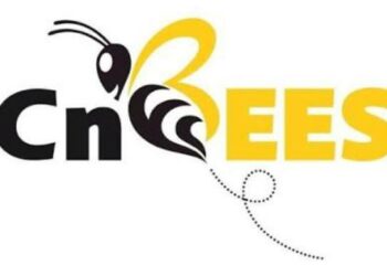Crowdfunding en Tunisie lancement de la plateforme CnBees