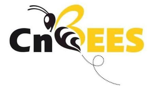 Crowdfunding en Tunisie lancement de la plateforme CnBees