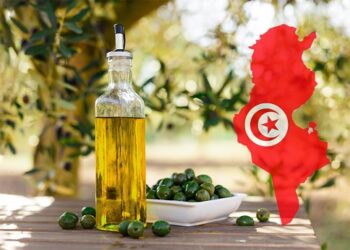 Huile d’olive tunisienne qualité et compétitivité en Jordanie