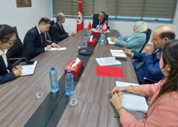 Tunisie -Chine : Vers la mise en place d&rsquo;un groupe de travail pour booster les investissements chinois en Tunisie﻿