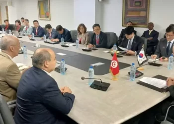 Tunisie- Corée du Sud : Examen des perspectives de partenariat dans l’industrie automobile