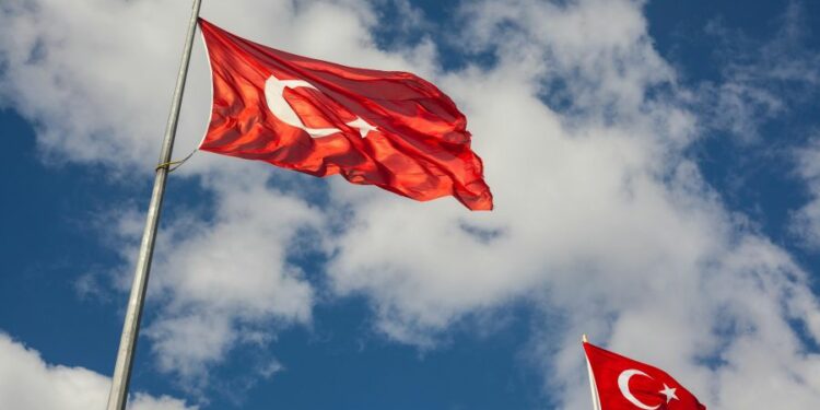 Turquie : les réseaux sociaux désormais interdits aux moins de 15 ans