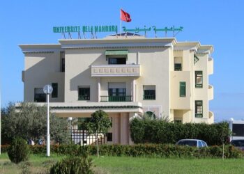 Université de la Manouba : une 4e place nationale dans le classement THE 2027