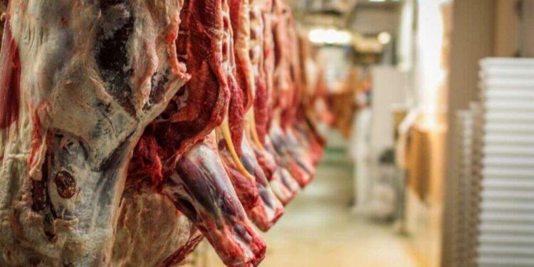 Le Kef : Plusieurs abattoirs fermés faute de conformité sanitaire
