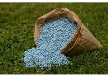 Campagne agricole: La Tunisie prévoit d’importer 110 mille tonnes de nitrate d’ammonium