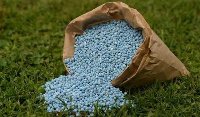 Campagne agricole: La Tunisie prévoit d’importer 110 mille tonnes de nitrate d’ammonium
