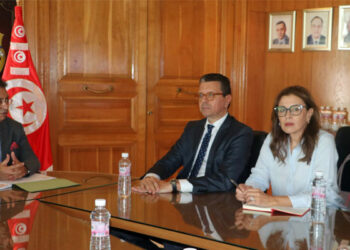 CEPEX-CONECT: Renforcer la coopération pour soutenir les exportations tunisiennes