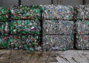 Tunisie: près de 70 % des déchets pourraient être valorisés par le compostage