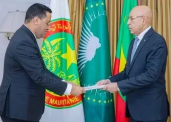 Mauritanie : les coupures d’électricité précipitent la démission du gouvernement