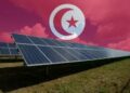 Transition énergétique : les professionnels réclament la suppression des droits de douane sur les équipements solaires﻿