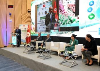 Finance climatique :  La Tunisie a besoin de 55 milliards de dollars pour la mise en œuvre de sa CDN 3.0
