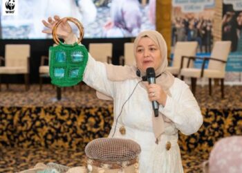 L&rsquo;économie circulaire, une piste pour des opportunités économiques au profit des femmes﻿