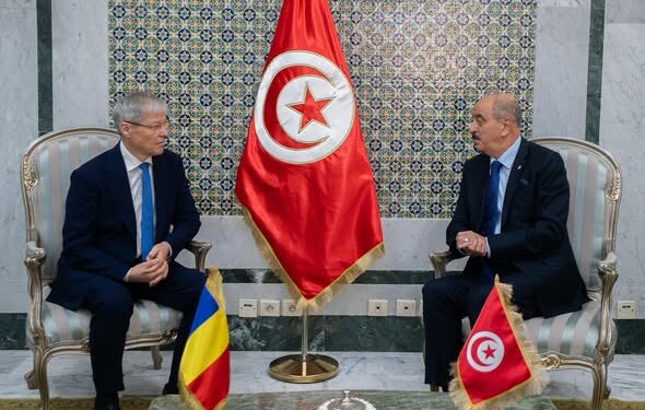 Diplomatie : Mohamed Ali Nafti reçoit le candidat de la Roumanie au poste de Secrétaire général de l’OIF