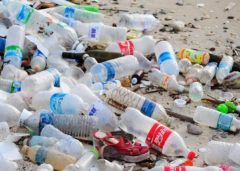 Pollution plastique : la facture pourrait atteindre 10 milliards de dollars en Tunisie d’ici 2040