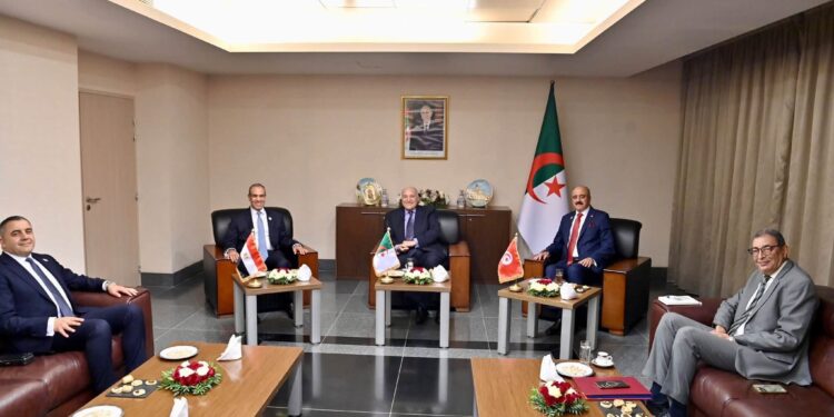Libye : Tunis, Alger et Le Caire réaffirment leur soutien à une solution politique sous conduite libyenne﻿